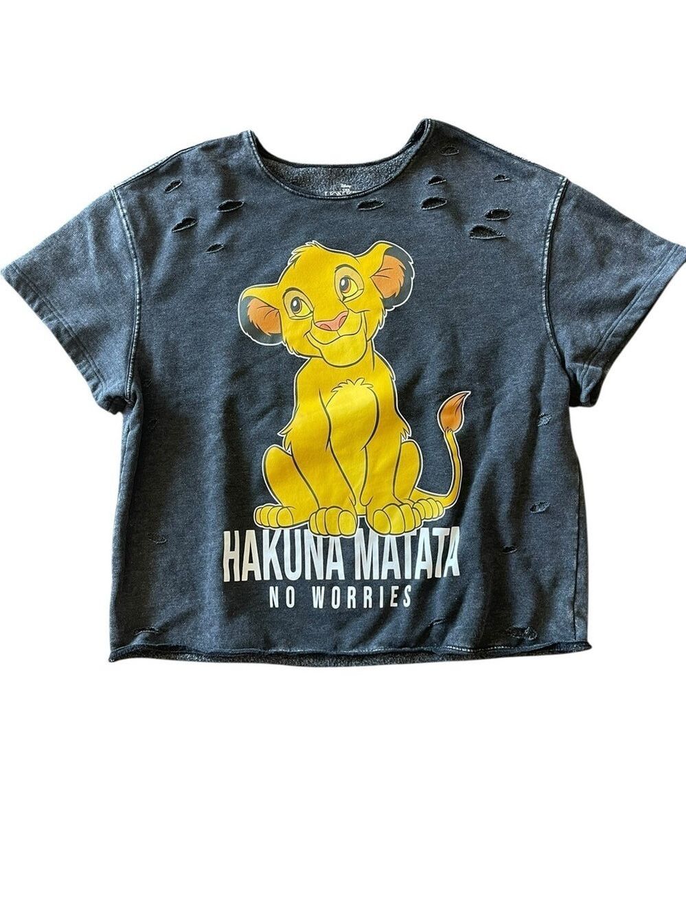 Disney Women’s The Lion King Crew Neck Hakuna Matata Sweatshirt Simba Size: 1X